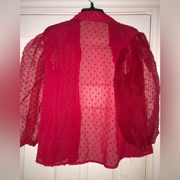 Sheer red blouse. - Picture 2 of 4